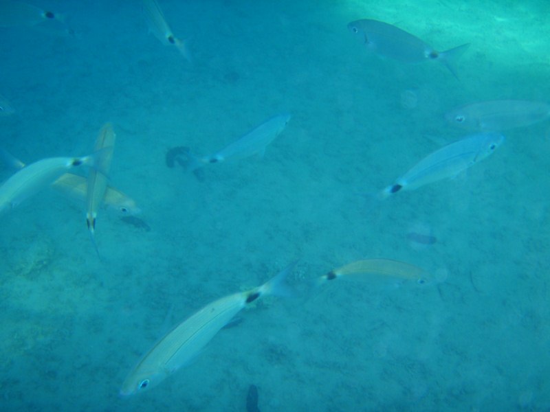 2011_05_11_08_03-002