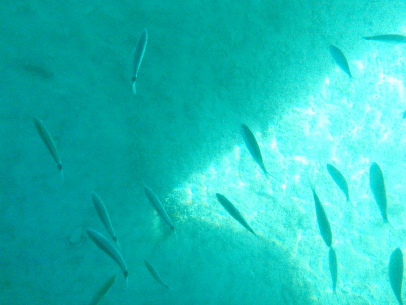 2011_05_11_08_16-001