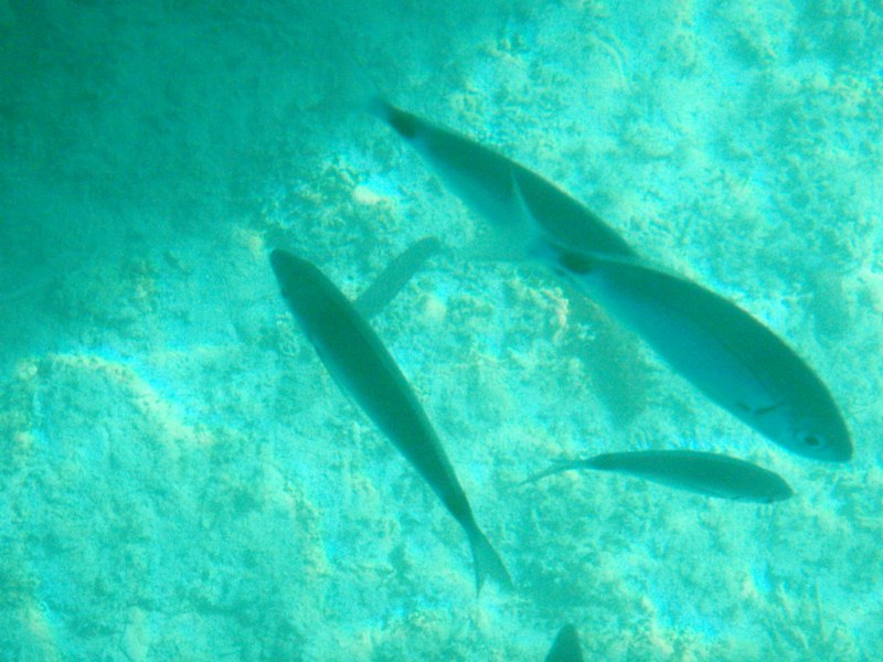 2011_05_11_08_16-002