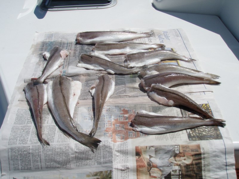 2011_05_13_12_17-001